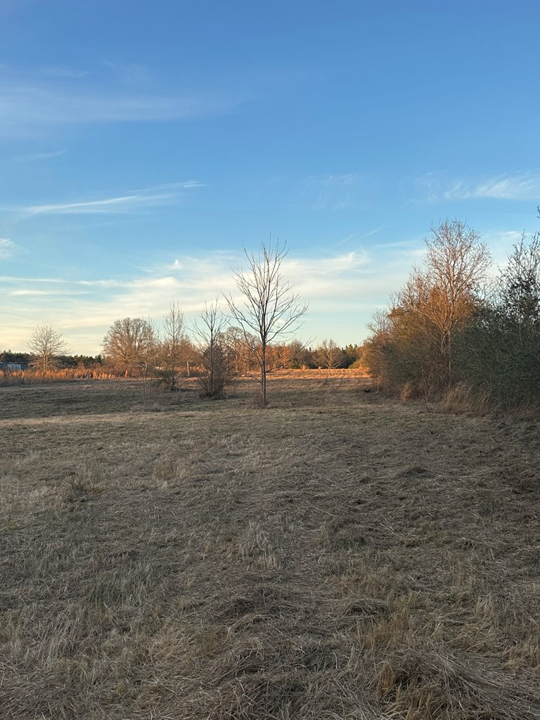 000 Ovelle Lee, Poplarville, MS 39466 - #2