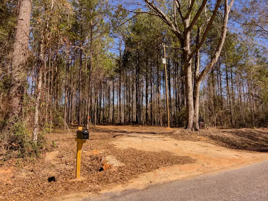 24 Nelson Road, Poplarville, MS 39470 - #2