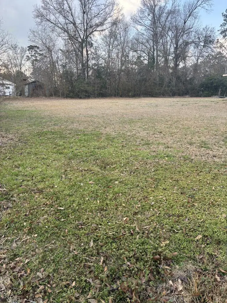 0 S. Loftin Ave, Picayune, MS 39466 - #2