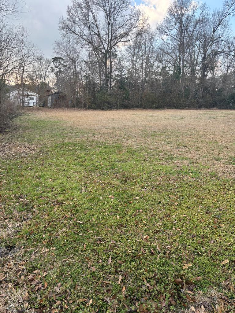 0 S. Loftin Ave, Picayune, MS 39466 - #3