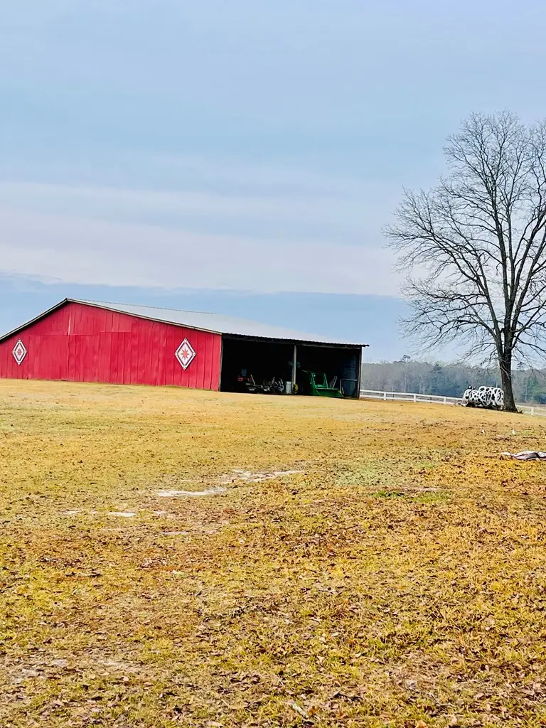 Address Withheld By Seller, Poplarville, MS 39470 - #3