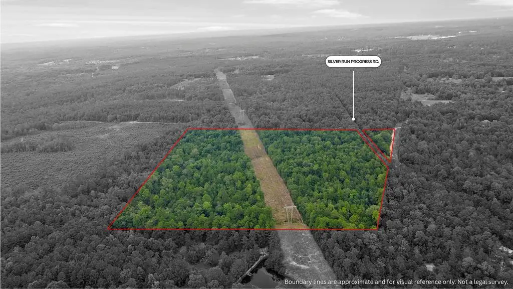 NHN Silver run-Progress Rd, Perkinston, MS 39573 - #1