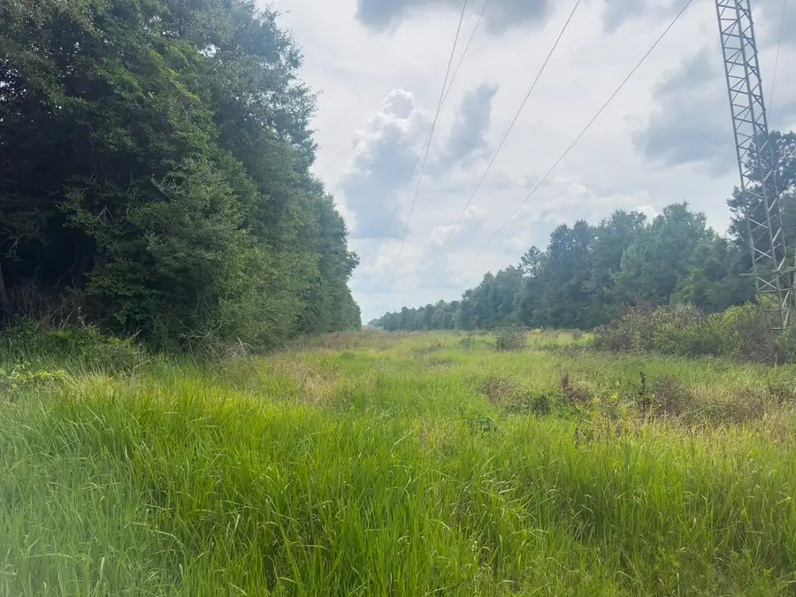 NHN Silver run-Progress Rd, Perkinston, MS 39573 - #3