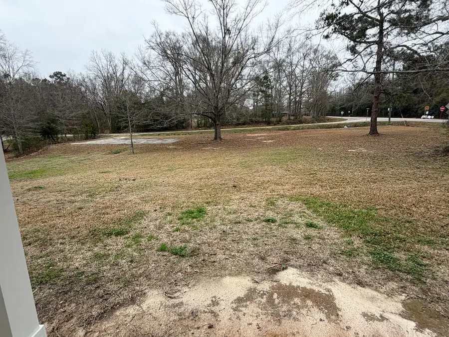 881 Old Hwy 11, Carriere, MS 39426 - #2