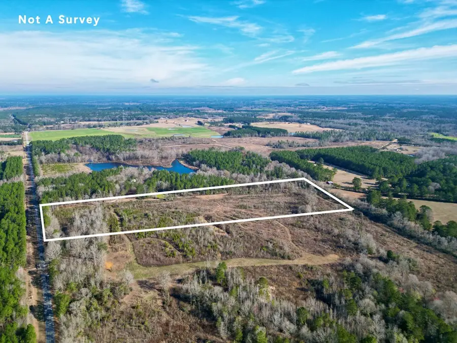 02 Hilt Fornea rd, Poplarville, MS 39470 - #2