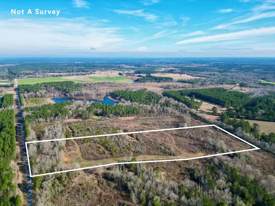 01 Hilt Fornea rd, Poplarville, MS 39470 - #3