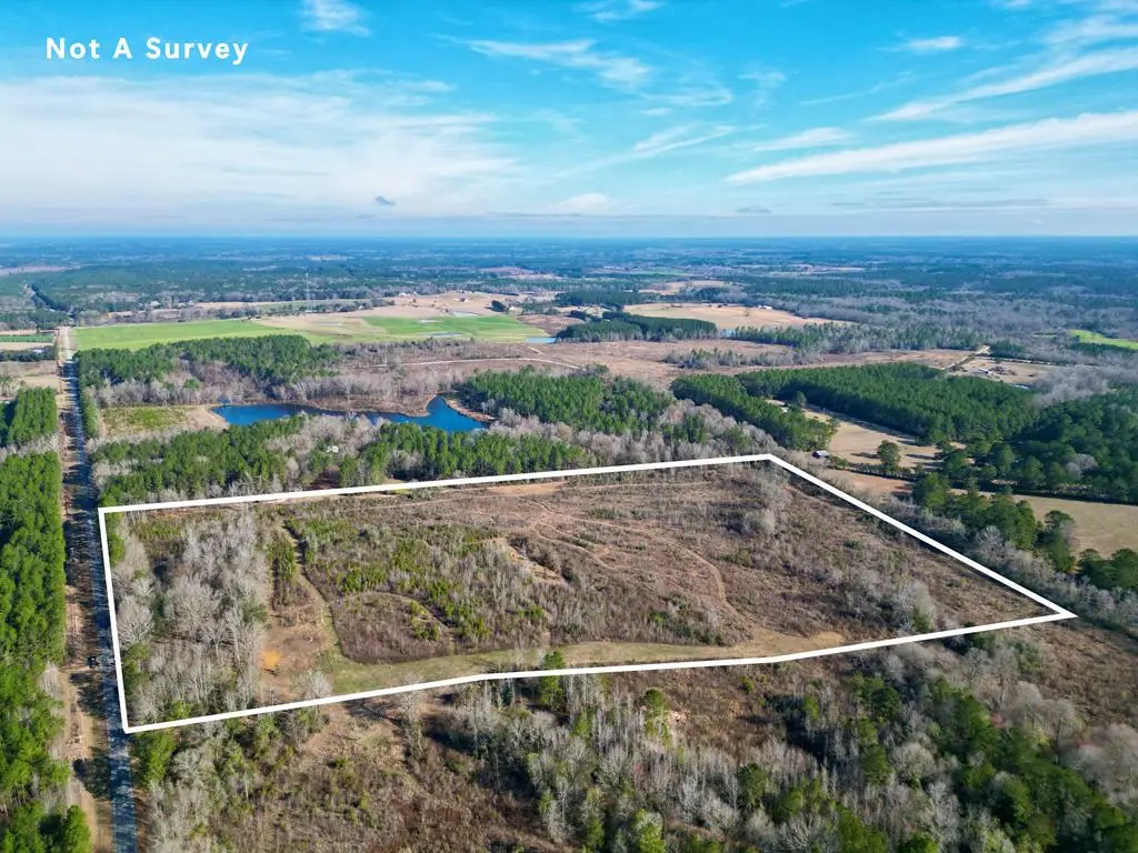 00 Hilt Fornea rd, Poplarville, MS 39470 - #1