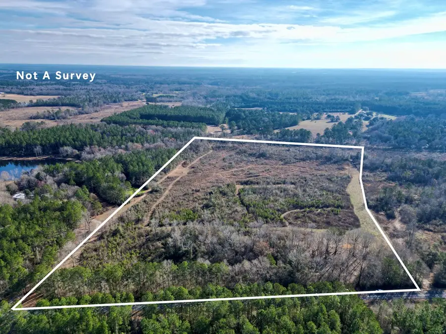 00 Hilt Fornea rd, Poplarville, MS 39470 - #2