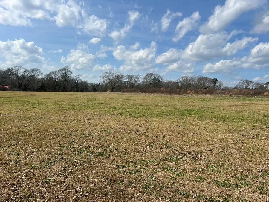 0 S Resort Drive, Lumberton, MS 39455 - #2