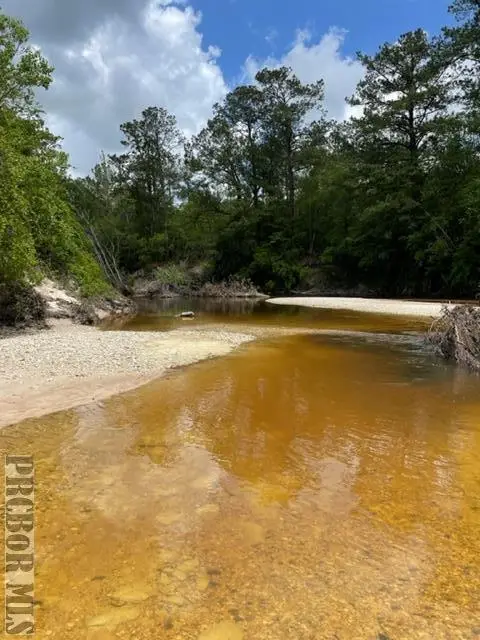 0 Four Feathers Ranch Road, Poplarville, MS 39470 - #1
