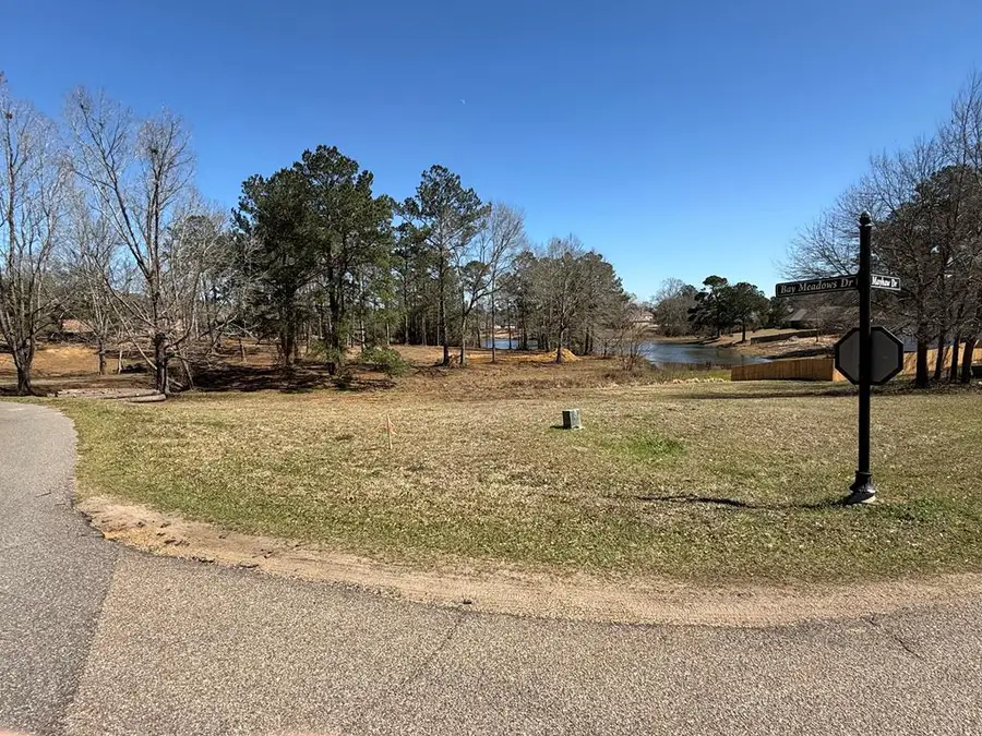 55 Bay Meadows Dr, Carriere, MS 39426 - #2