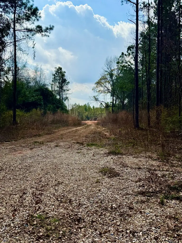 33 Nelson Road, Poplarville, MS 39470 - #2