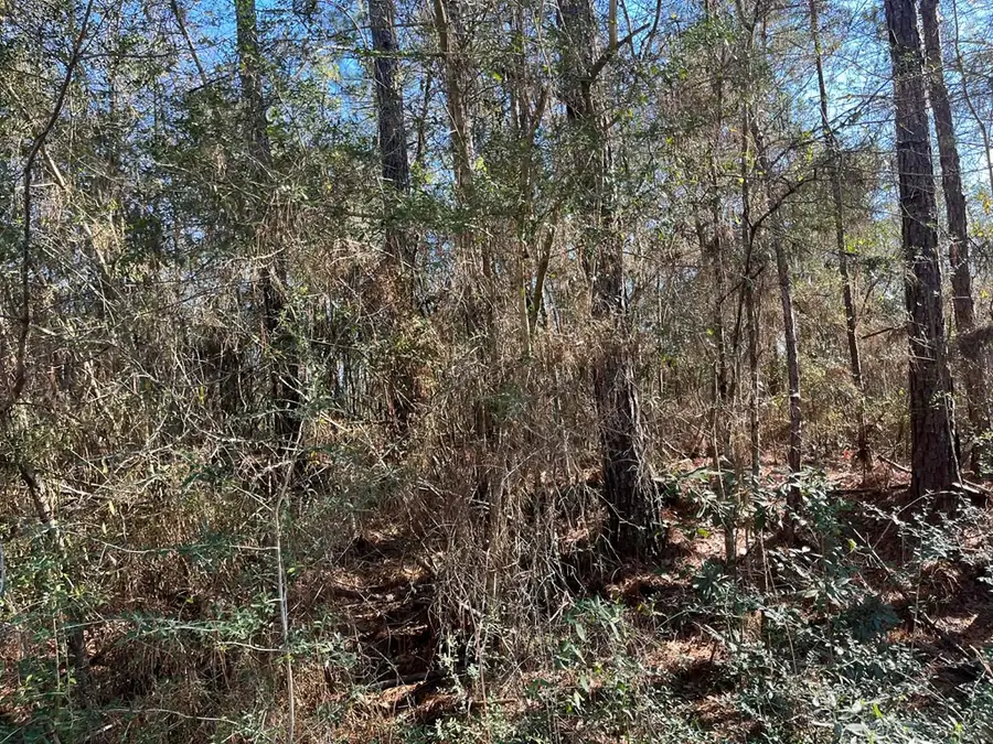 lot 197 (on Woodland Dr.), Lumberton, MS 39455 - #2