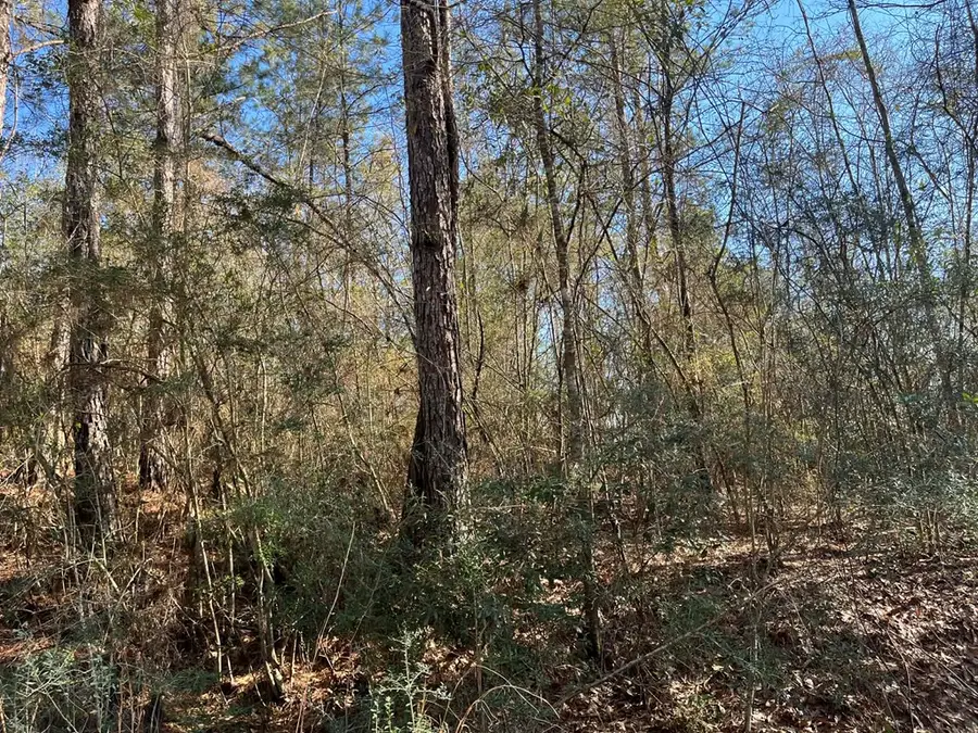 lot 197 (on Woodland Dr.), Lumberton, MS 39455 - #3