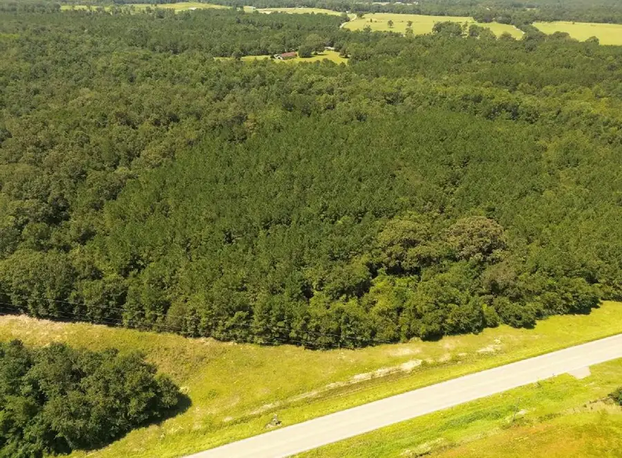 0 Hwy 53, Poplarville, MS 39470 - #3