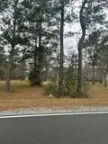 Lot 19 George Wise Rd, Carriere, MS 39426 - #2