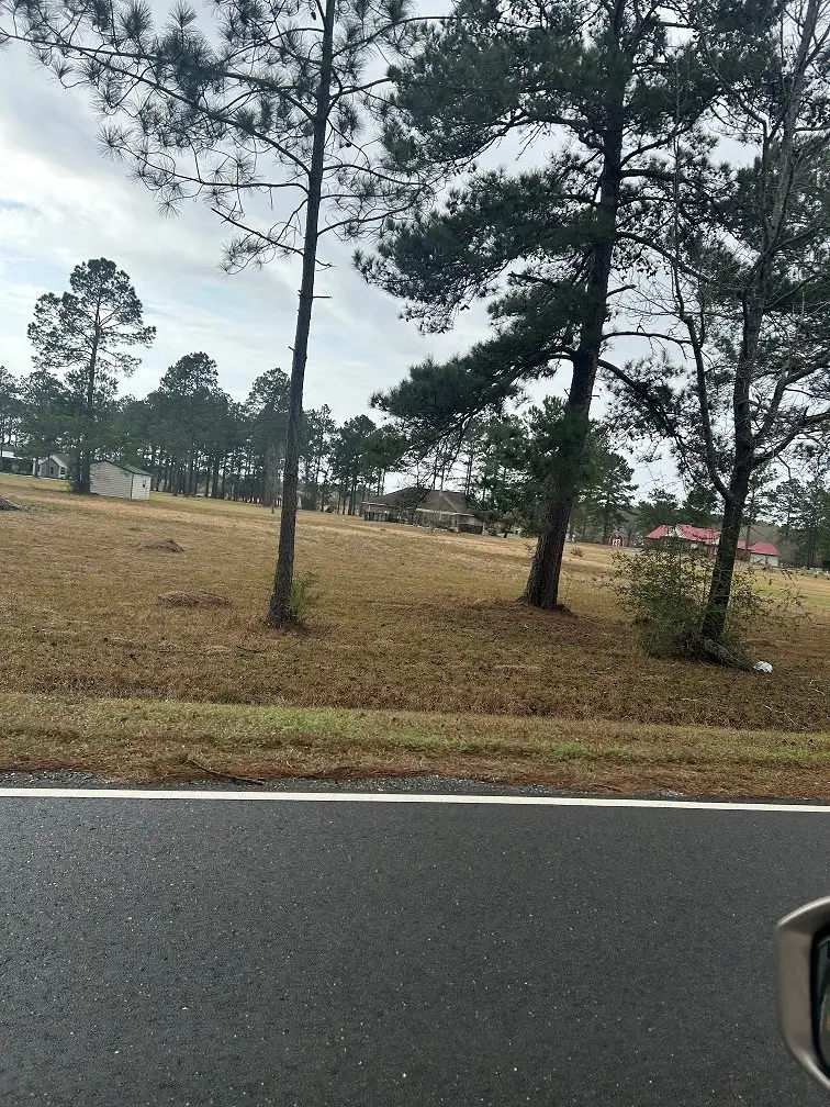 Lot 11 George Wise Rd, Carriere, MS 39426 - #3