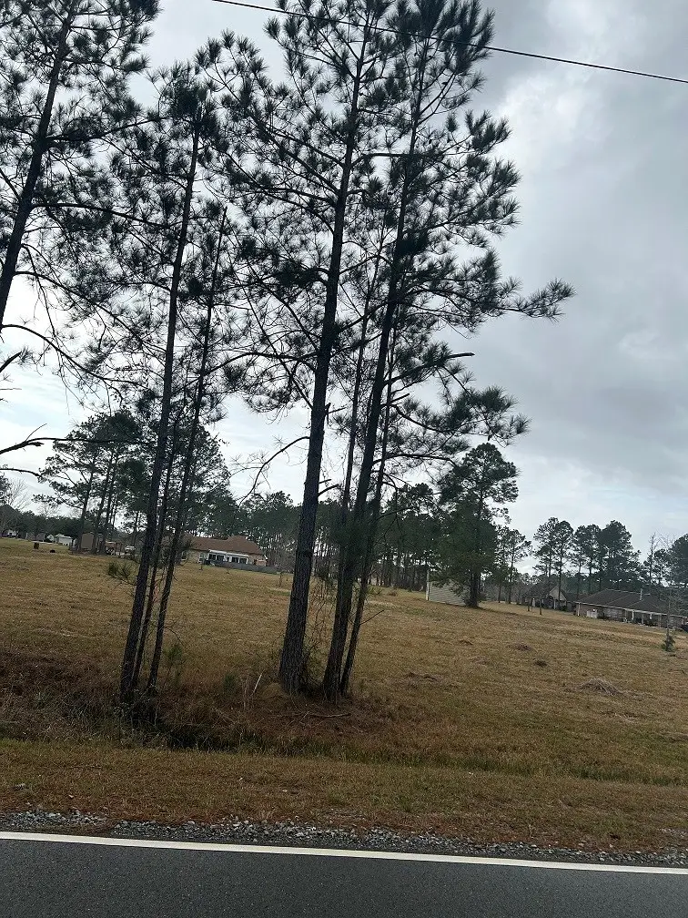 Lot 12 George Wise Rd, Carriere, MS 39426 - #3