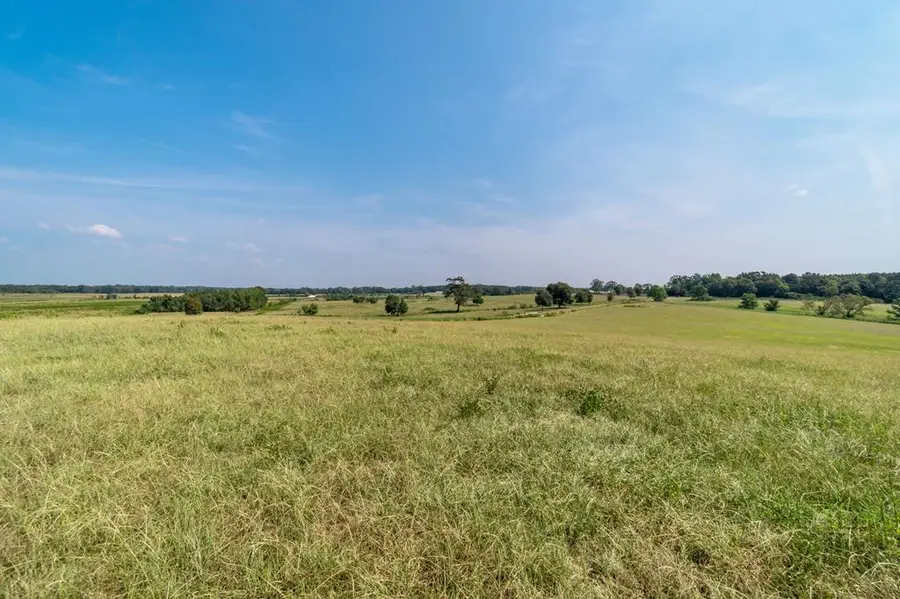 Lot #1 Grady Lewis Rd., Poplarville, MS 39470 - #2