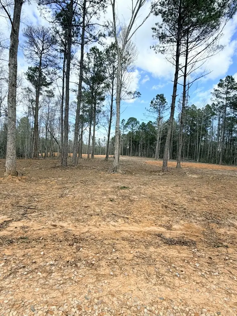 NHN Antler Ridge LOT A, Poplarville, MS 39470 - #2