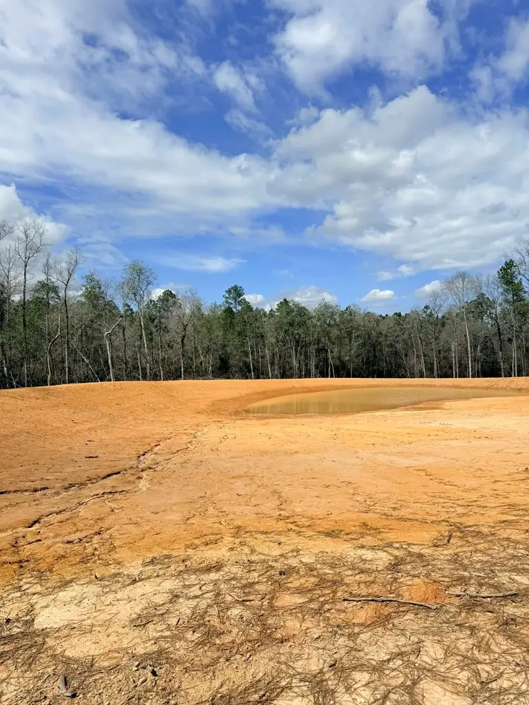 NHN Antler Ridge LOT A, Poplarville, MS 39470 - #3