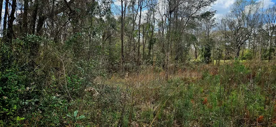 NHN Hwy 11, Poplarville, MS 39470 - #2