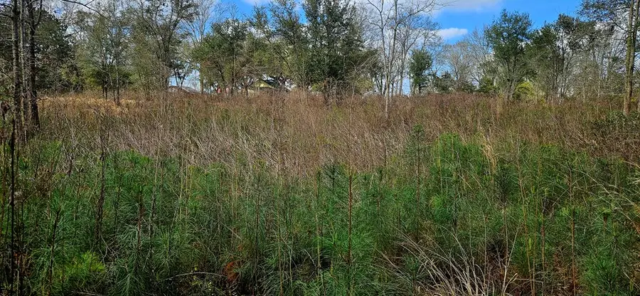 NHN Hwy 11, Poplarville, MS 39470 - #3