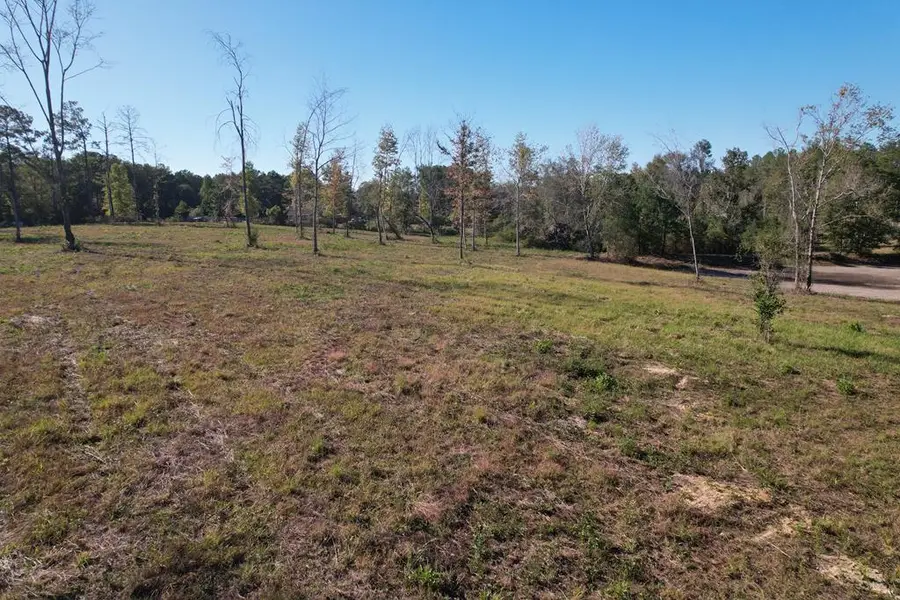 60 Lees Lane, Poplarville, MS 39470 - #2