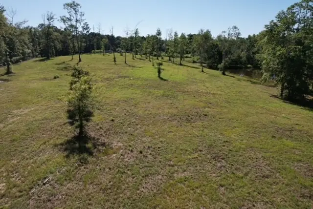 60 Lees Lane, Poplarville, MS 39470 - #3