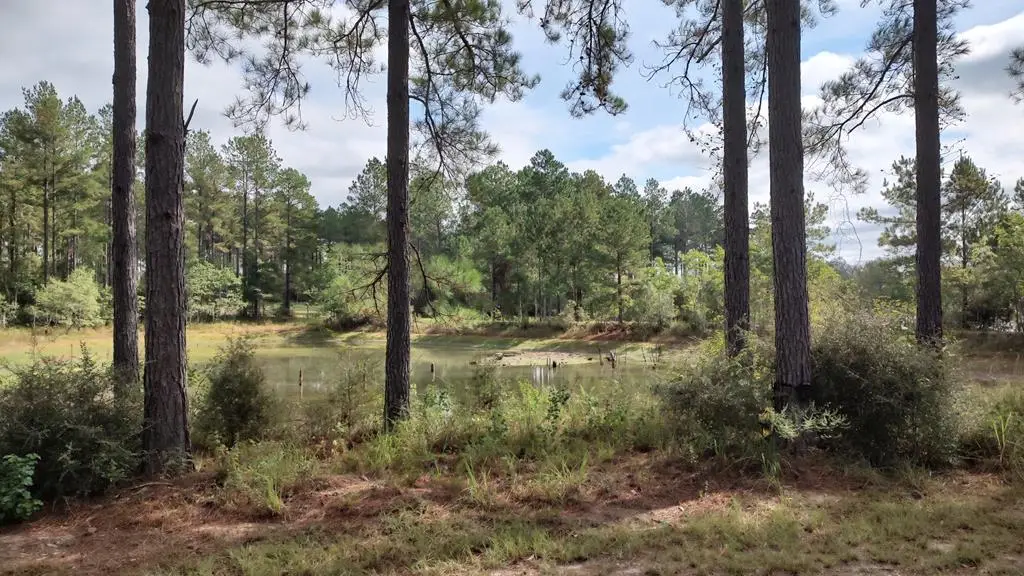 NHN Highway 13, Lumberton, MS 39455 - #1
