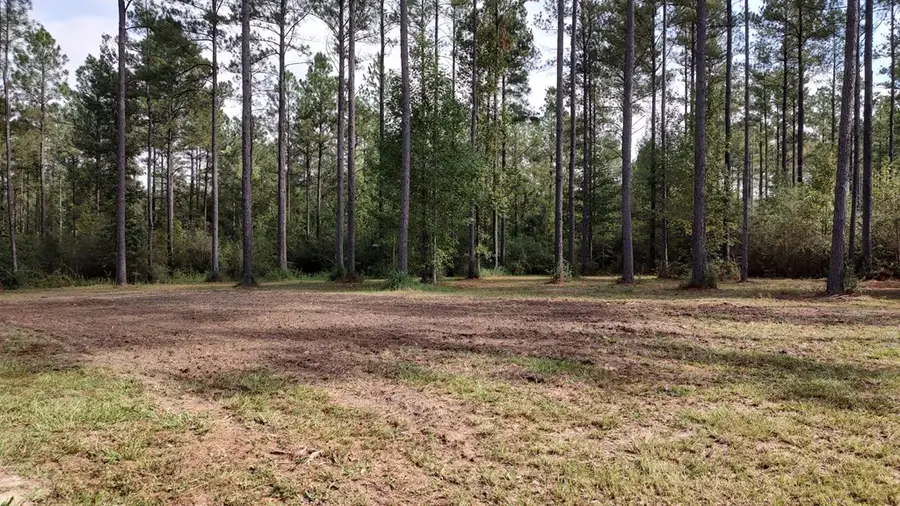 NHN Highway 13, Lumberton, MS 39455 - #2