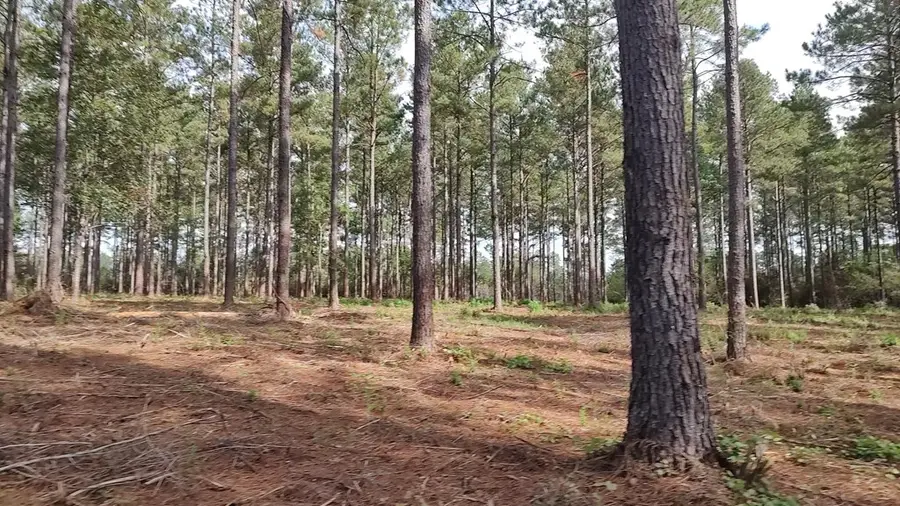 NHN Highway 13, Lumberton, MS 39455 - #3