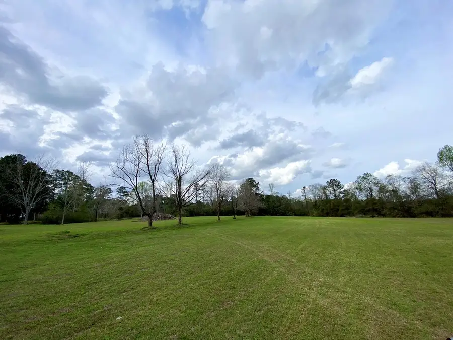 118 McNeil Henleyfield Road, Carriere, MS 39426 - #2