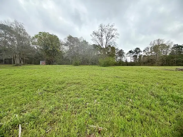 0 Palestine Rd, Picayune, MS 39466