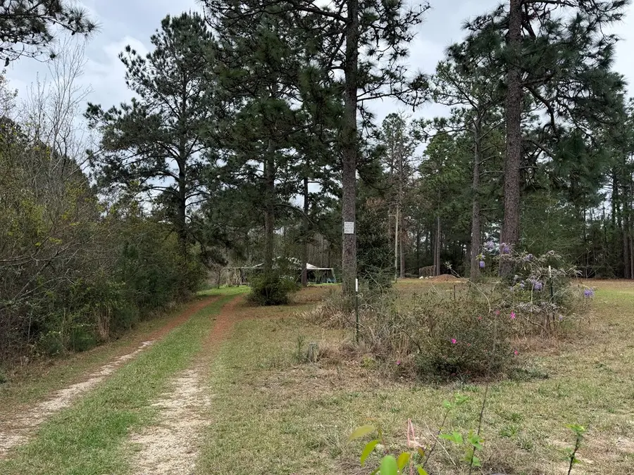 2 Jefferys Lane, Poplarville, MS 39470 - #2