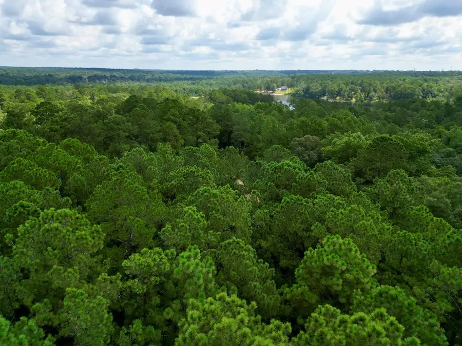 01 Osprey Cove, Poplarville, MS 39470 - #2