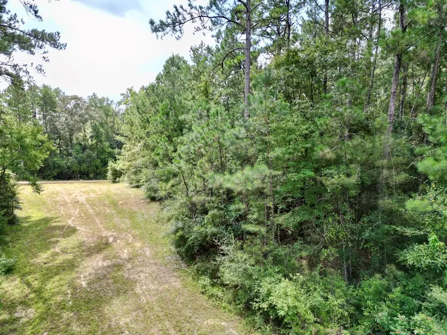 01 Osprey Cove, Poplarville, MS 39470 - #3