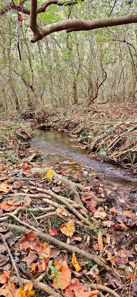 Nhn Firefox, Poplarville, MS 39470 - #2