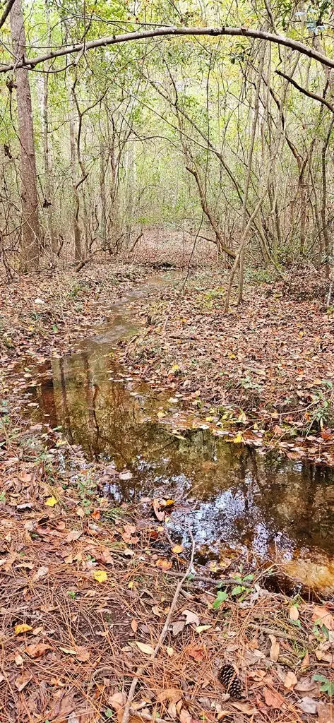 Nhn Firefox, Poplarville, MS 39470 - #3