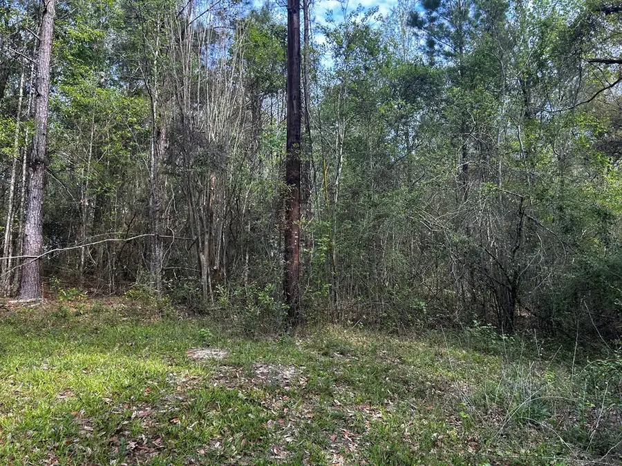 19 Bucaneer Cr, Carriere, MS 39426 - #2