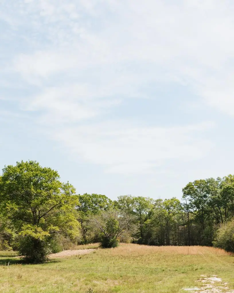 00 E Twin Oaks, Carriere, MS 39426 - #1