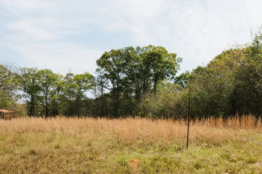 00 E Twin Oaks, Carriere, MS 39426 - #3