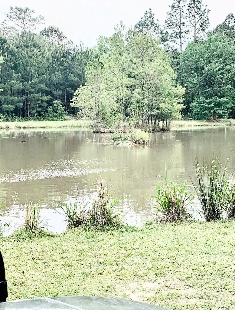 3926 Hwy 43 N, Picayune, MS 39466 - #3