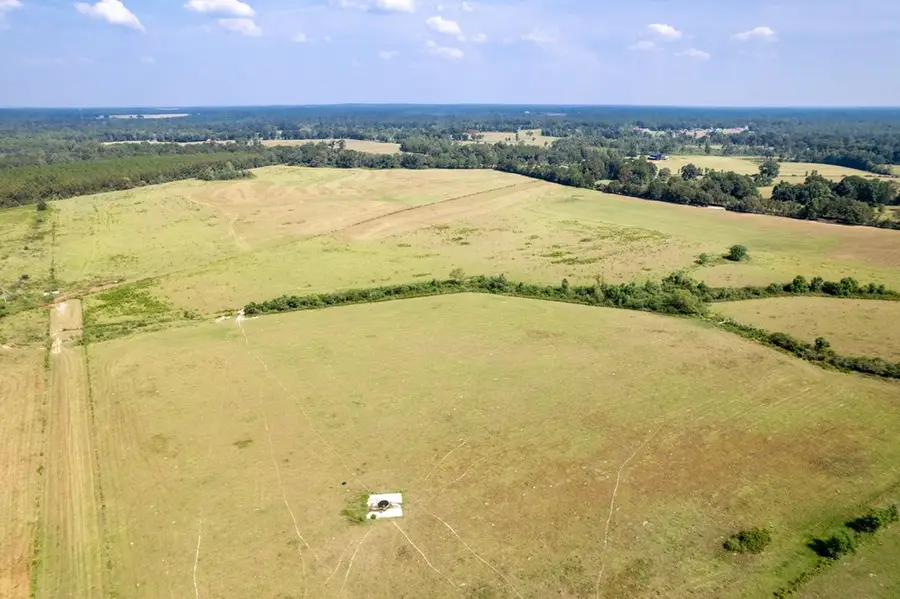 Lot 2 Grady Lewis Rd., Poplarville, MS 39470 - #3