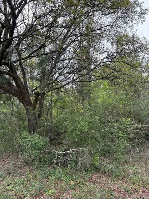 NHN Hwy 43 South, Picayune, MS 39466