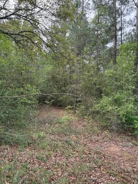 NHN Hwy 43 South, Picayune, MS 39466 - #2