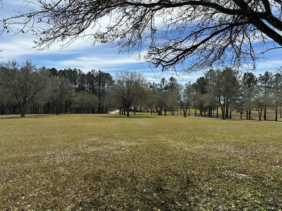 0 New Arbor Rd N Lot 1B, Poplarville, MS 39470 - #2