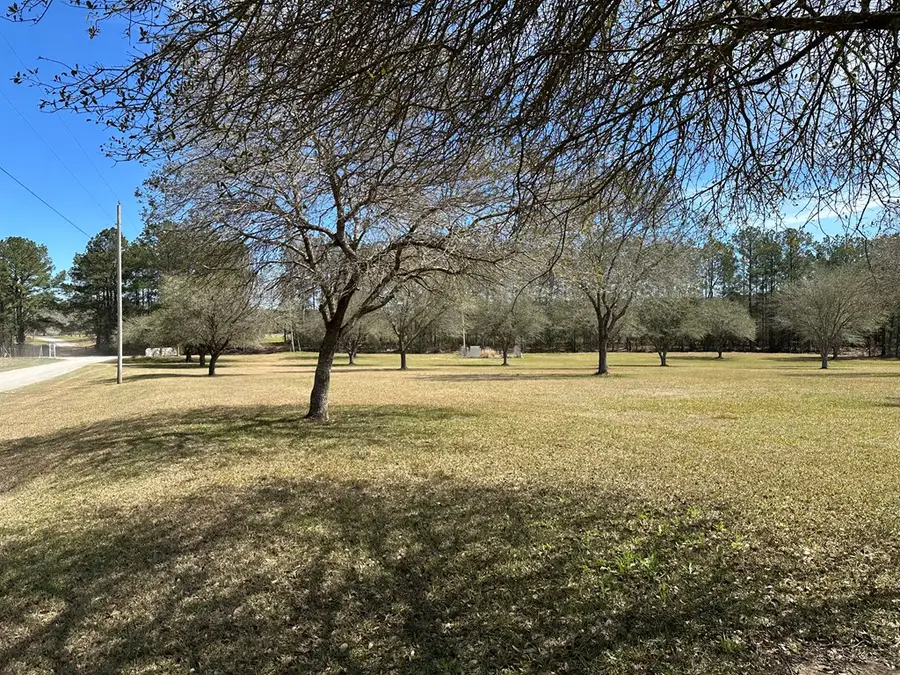 0 New Arbor Rd N Lot 1B, Poplarville, MS 39470 - #3