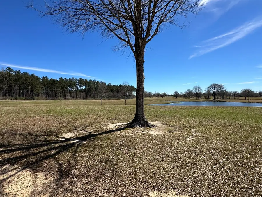 0 Northern Exposure Rd Lot 84, Poplarville, MS 39470 - #3