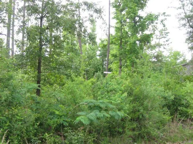 0 Rollingwood Drive Lot 1148 Unit 14, Carriere, MS 39426 - #1
